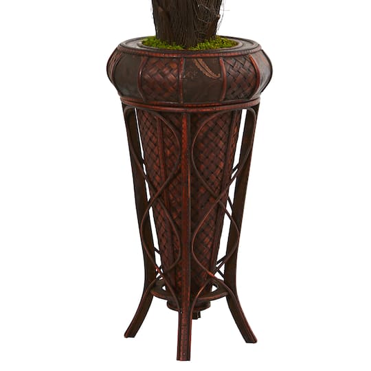4ft. Cycas Tree in Decorative Stand